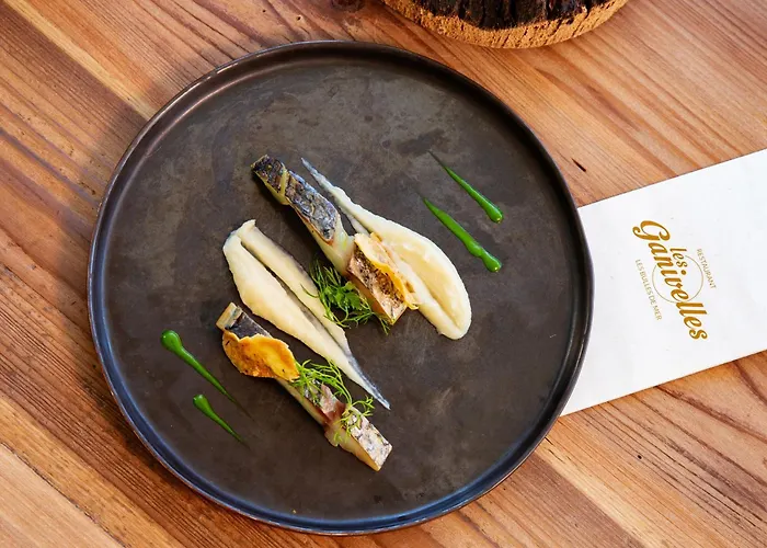 Pierre & Les Bulles De Aparthotel Saint-Cyprien (Pyrenees-Orientales)